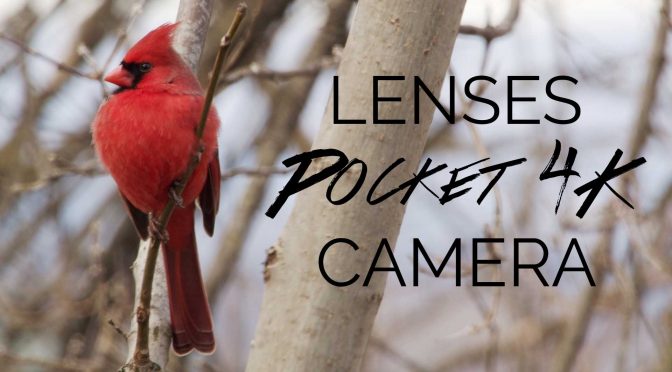 Lenses for Blackmagic Pocket 4K Camera